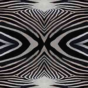 Ковролин Flotex Vision Image 000402 zebra фото ##numphoto## | FLOORDEALER